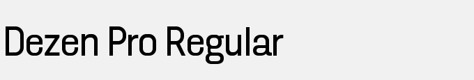 Dezen Pro Regular