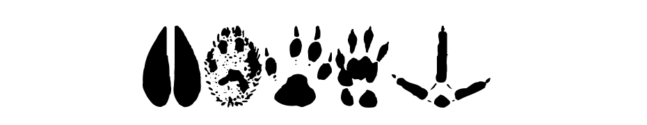 Animal Tracks Font Download Free