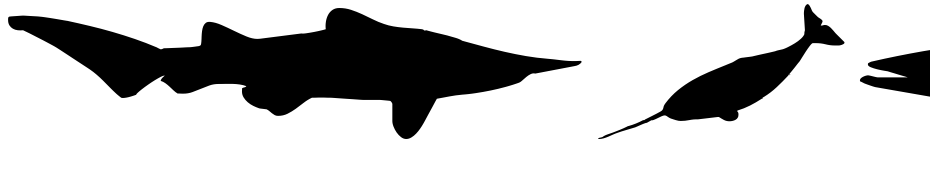 Giants Of The Sea Font Download Free