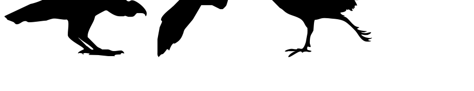 Birds Of A Feather Font Download Free