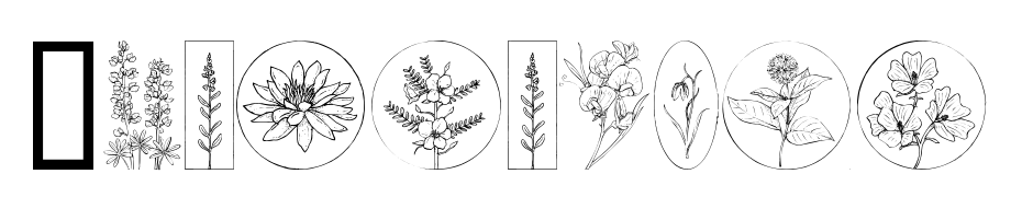 Wildflower Font Download Free