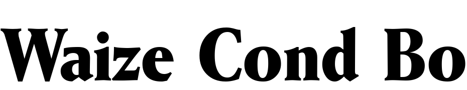 Waize Cond Bold Font Download Free