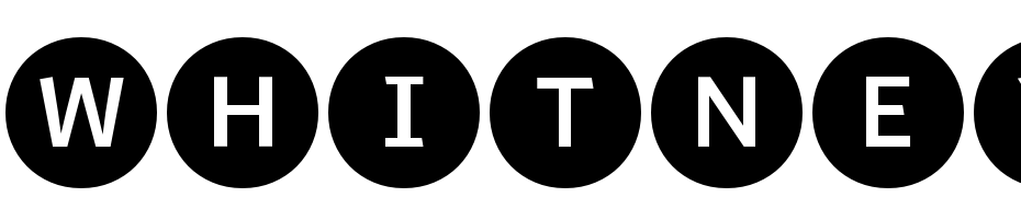 Whitney Index Black Round Md Font Download Free