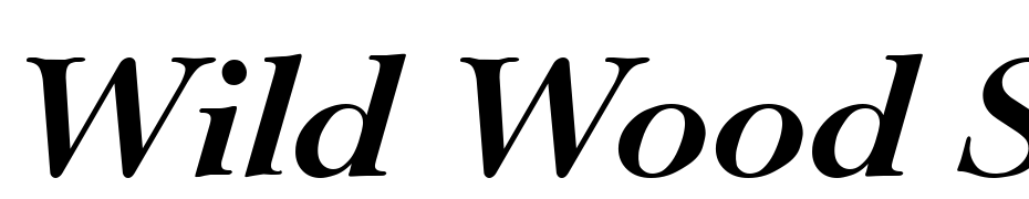 Wild Wood SF Bold Italic Font Download Free