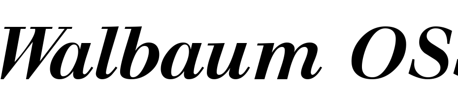 Walbaum OSSSK Bold Font Download Free