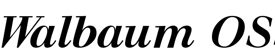 Walbaum OSSSK Bold Italic Font Download Free