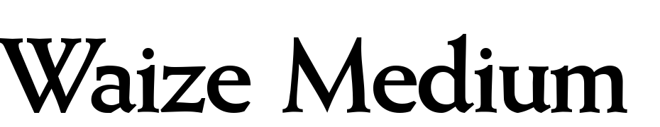 Waize Medium Regular Font Download Free