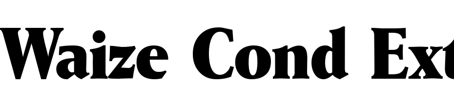 Waize Cond Extrabold Regular Font Download Free