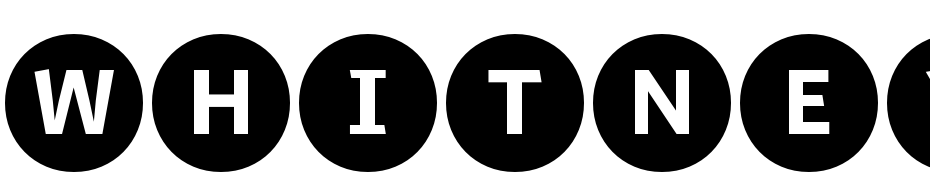 Whitney Index Black Round Bd Font Download Free