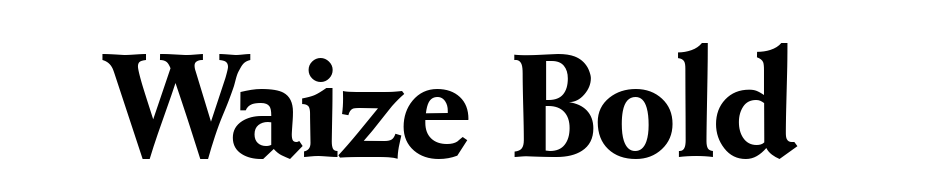 Waize Bold Font Download Free