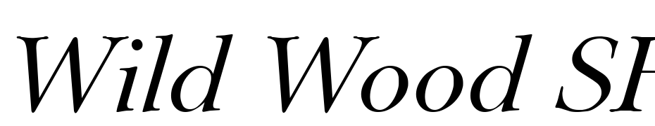 Wild Wood SF Italic Font Download Free