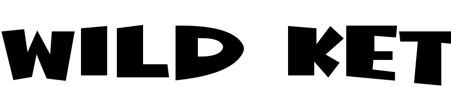 Wild Ketchup BTN Font Download Free