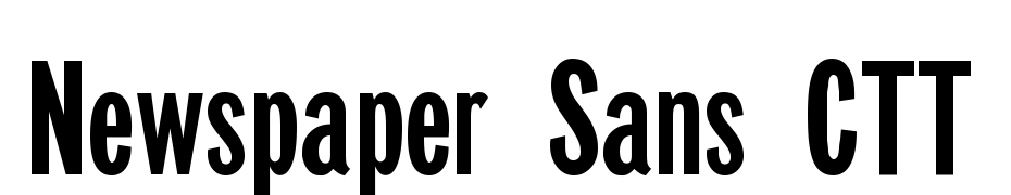 Newspaper Sans CTT Font Download Free