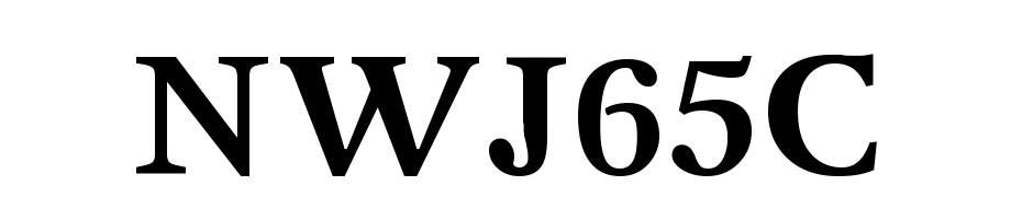 New Journal CTT Bold Font Download Free