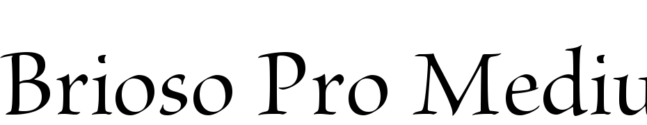 Brioso Pro Medium Display Schrift Herunterladen Kostenlos