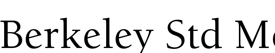 ITC Berkeley Oldstyle Std Medium Font Download Free