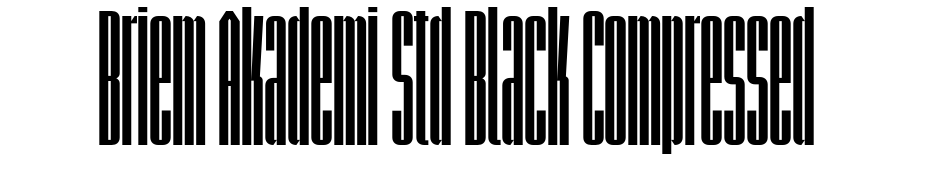 Briem Akademi Std Black Compressed Font Download Free