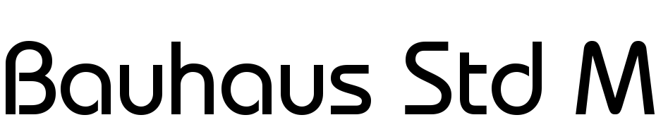 Bauhaus Std Medium Font Free Download