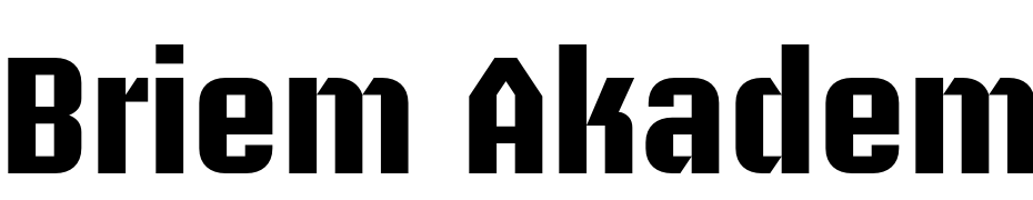 Briem Akademi Std Bold Font Download Free