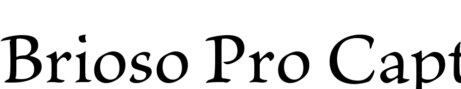 Brioso Pro Caption Font Download Free