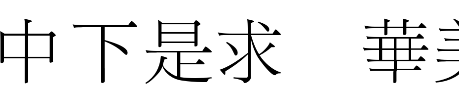 DFLi Song Light1B Font Download Free
