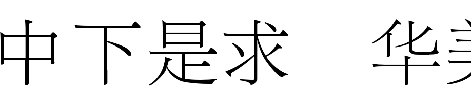 DFLi Song Light1BGB Font Download Free