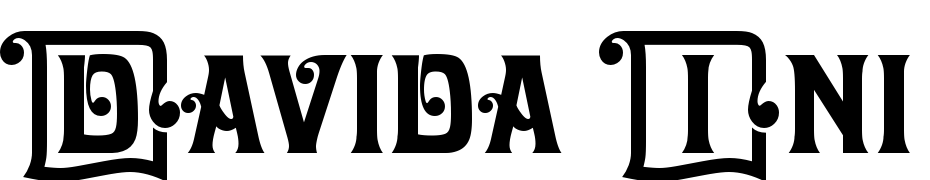 Davida Ini D Font Download Free