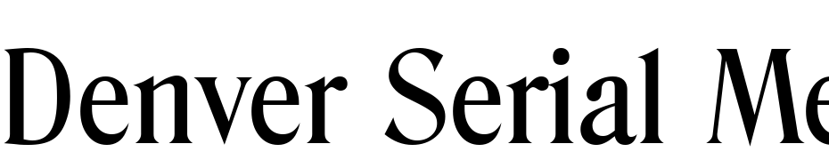 Denver Serial Medium Regular Font Download Free