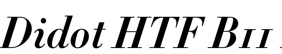 Didot HTF B11 Bold Ital Fuente Descargar Gratis