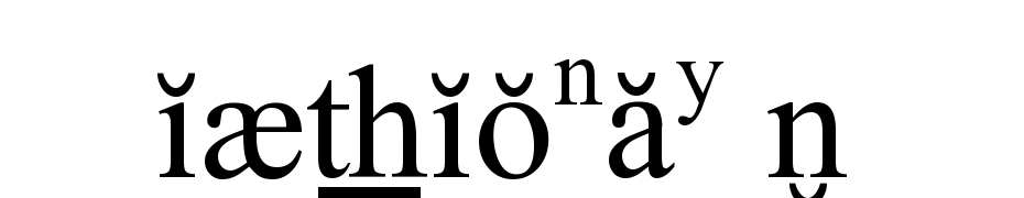 Dictionary TNR Font Download Free