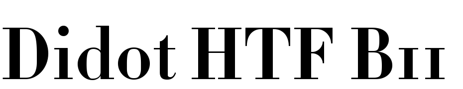 Didot HTF B11 Bold Font Download Free