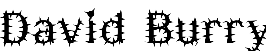 David Burry Font Download Free