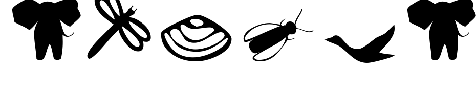 Dexis Dingbats Three SSK Font Download Free