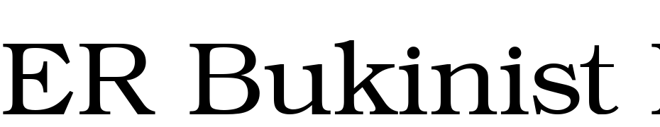 ER Bukinist KOI 8 Normal Font Download Free