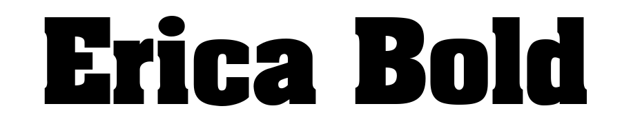 Erica Bold Font Download Free