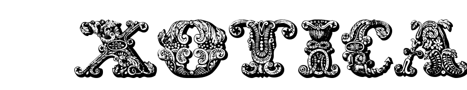 Exotica Medium Font Download Free