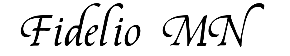 Fidelio MN Font Download Free