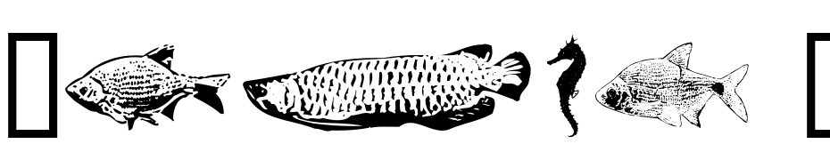 Fishy Print Two AOE Font Download Free