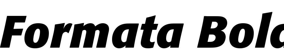 Formata Bold Italic Font Download Free
