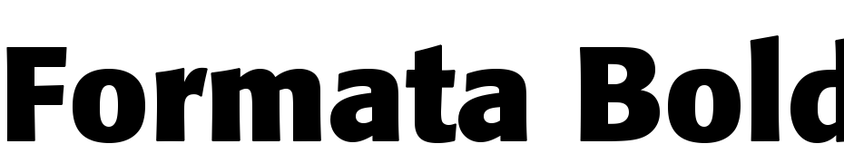 Formata Bold Font Download Free