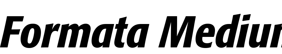 Formata Medium Condensed Italic Yazı tipi ücretsiz indir