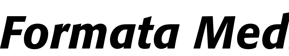Formata Medium Italic Font Download Free