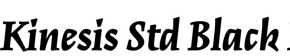 Kinesis Std Black Italic Font Download Free