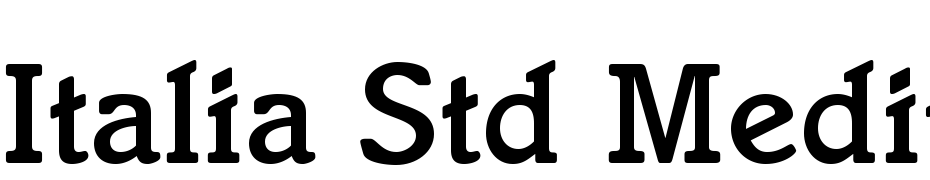 Italia Std Medium Font Download Free