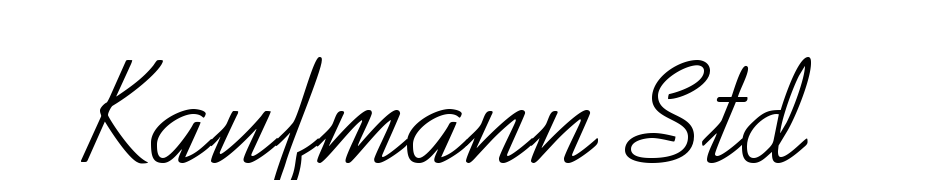 Kaufmann Std Roman Schrift Herunterladen Kostenlos