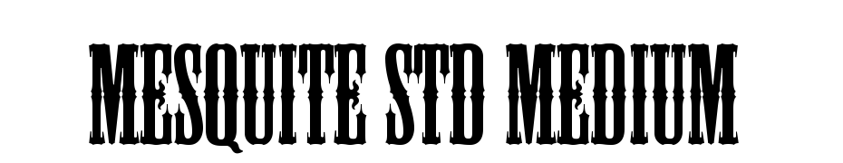 Mesquite Std Medium Font Download Free