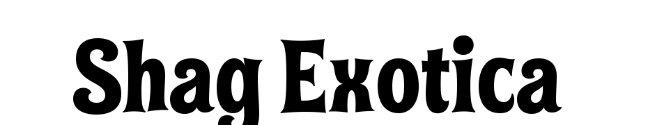 Shag Exotica Font Download Free