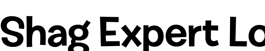 Shag Expert Lounge Font Download Free