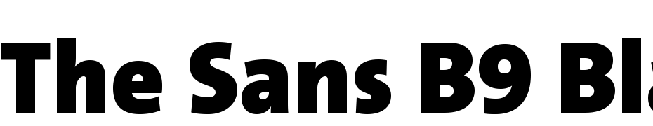 The Sans B9 Black Font Download Free
