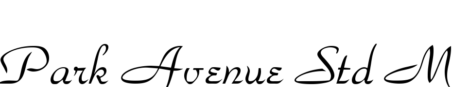 Park Avenue Std Medium cкачати шрифт безкоштовно